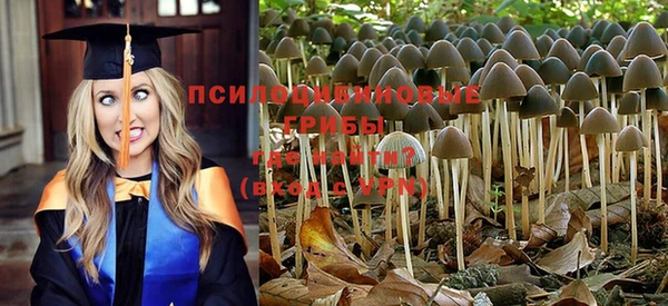 не бодяженный Баксан
